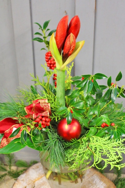 Winterstrauß mit Amaryllis